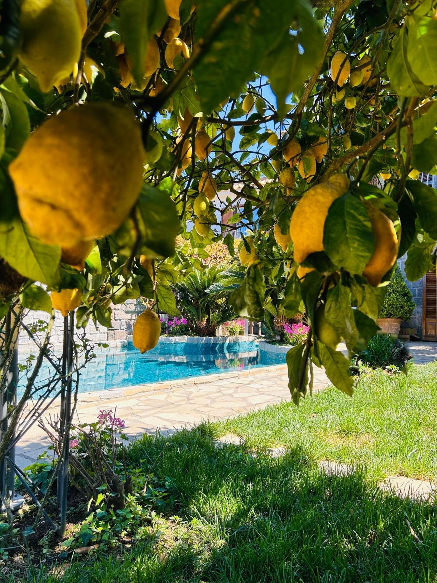 Maison Villa Angela SantʼAgata sui Due Golfi Εξωτερικό φωτογραφία