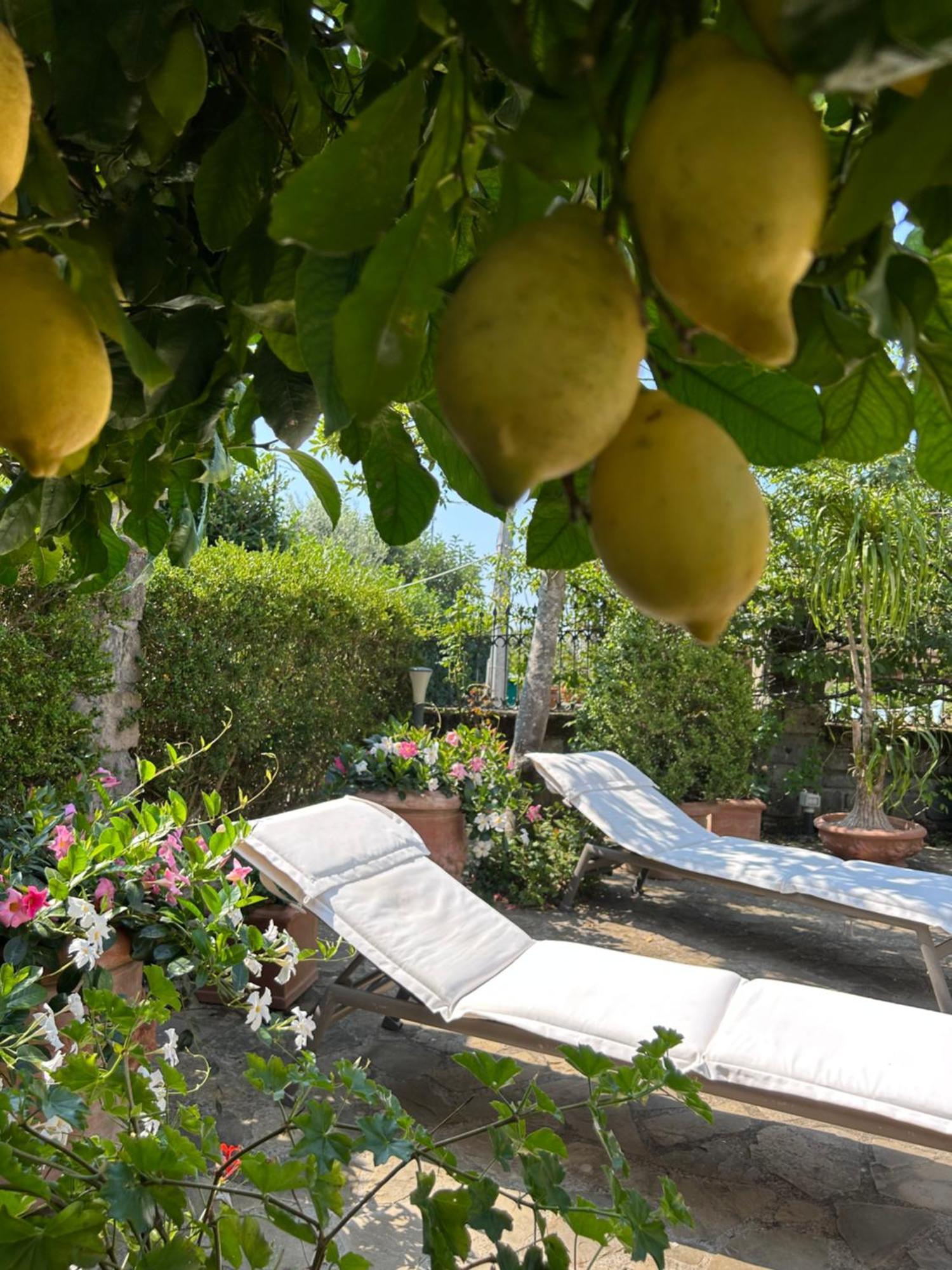 Maison Villa Angela SantʼAgata sui Due Golfi Εξωτερικό φωτογραφία