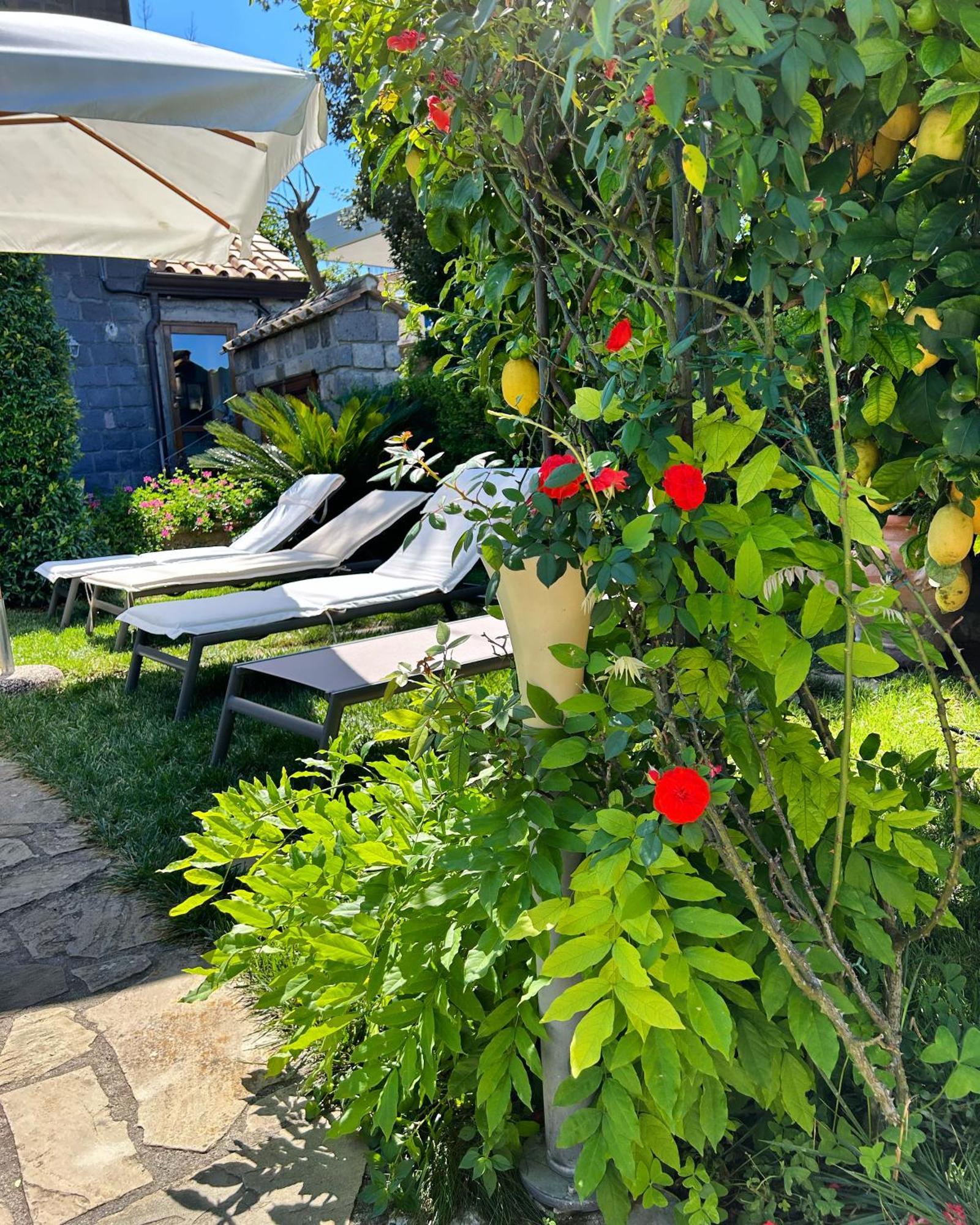 Maison Villa Angela SantʼAgata sui Due Golfi Εξωτερικό φωτογραφία